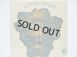 画像1: ULTIMATE SPINACH / Ultimate Spinach