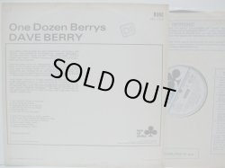 画像2: DAVE BERRY / One Dozen Berrys