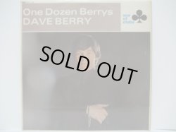 画像1: DAVE BERRY / One Dozen Berrys