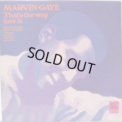 画像1: MARVIN GAYE / That's The Way Love Is