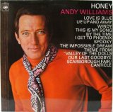 ANDY WILLIAMS / Honey