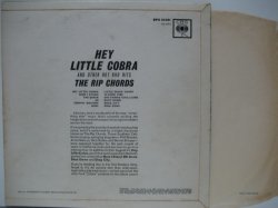 画像2: RIP CHORDS / Hey Little Cobra