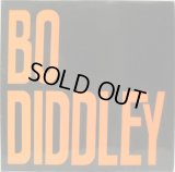 BO DIDDLEY / Bo Diddley