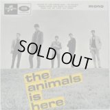 ANIMALS / The Animals Is Here ( EP )