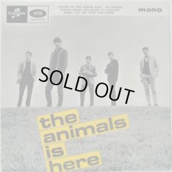 画像1: ANIMALS / The Animals Is Here ( EP )