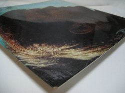 画像6: BOBBY VEE / Look At Me Girl