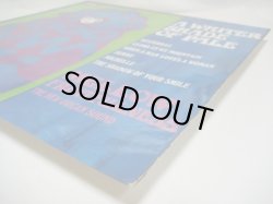 画像5: MELLOW FRUITFULNESS / A Whiter Shade Of Pale