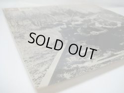 画像6: ANIMALS / Animal Tracks