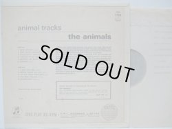 画像2: ANIMALS / Animal Tracks