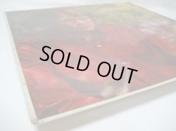 画像6: TIM HARDIN / Tim Hardin 1