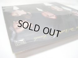 画像5: TURTLES / The Turtles Present The Battle Of The Bands