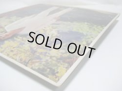 画像7: SCOTT McKENZIE / The Voice Of Scott McKenzie