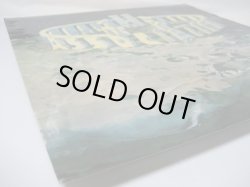 画像6: ASSOCIATION / The Association