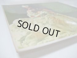 画像6: HERB ALPERT'S TIJUANA BRASS / Whipped Cream & Other Delights