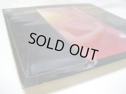 画像6: STAN BUTCHER HIS BIRDS AND BRASS / Sayin' Somethin' Stupid And Other Things