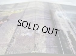 画像8: CHICKEN SHACK / O.K. Ken?