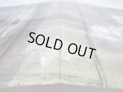 画像9: CHICKEN SHACK / O.K. Ken?