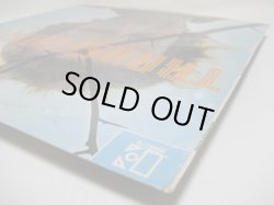 画像6: DAVID STOUGHTON / Transformer