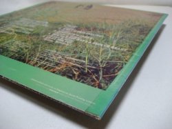 画像8: AL GREEN / Let's Stay Together