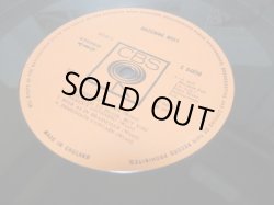 画像4: MATCHING MOLE / Matching Mole