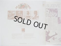 画像2: MATCHING MOLE / Matching Mole