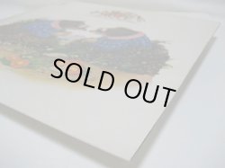 画像5: MATCHING MOLE / Matching Mole