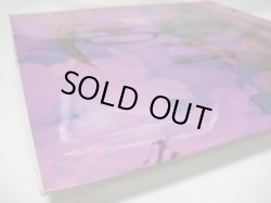 画像6: BILLY VAUGHN / Quietly Wild