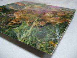 画像6: LARRY CORYELL / Coryell