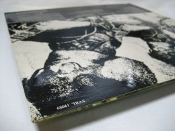 画像7: LARRY CORYELL / Coryell