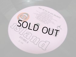 画像4: FAIRPORT CONVENTION / What We Did On Our Holidays