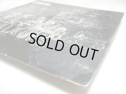 画像5: FAIRPORT CONVENTION / What We Did On Our Holidays