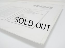 画像7: HARMONY GRASS / Harmony Grass