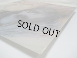 画像6: LEON RUSSELL / Carney