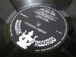 画像5: FAMILY DOGG / The View From Rowland's Head