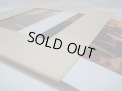 画像5: PAUL WILLIAMS / Just An Old Fashioned Love Song