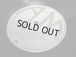 画像4: PAUL WILLIAMS / Just An Old Fashioned Love Song