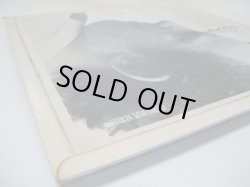 画像7: ROY BUDD / Lead On