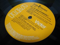 画像4: BUTTERSCOTCH / Don't You Know Butterscotch ?