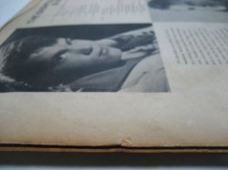 画像11: BRIAN HYLAND / The Bashful Blond