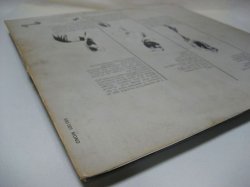 画像8: CREAM / Fresh Cream