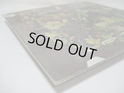 画像8: BUFFALO SPRINGFIELD / Last Time Around