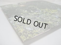 画像8: SANDPIPERS / A Gift Of Song