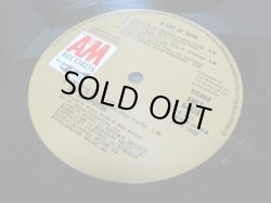 画像4: SANDPIPERS / A Gift Of Song