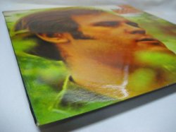 画像6: TIM HARDIN / The Best Of Tim Hardin