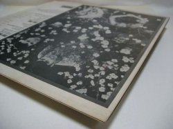 画像9: ASSOCIATION / Insight Out