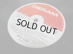 画像4: WHITE PLAINES / White Plains