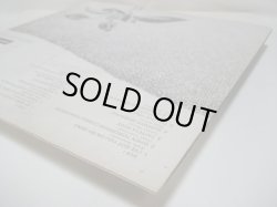 画像8: WHITE PLAINES / White Plains