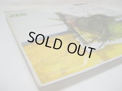 画像7: DOROTHY ASHBY / The Fantastic Jazz Harp