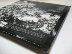 画像7: STEPPENWOLF / At Your Birthday Party