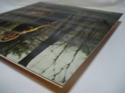 画像8: TIM HARDIN / Suite For Susan Moore And Damion